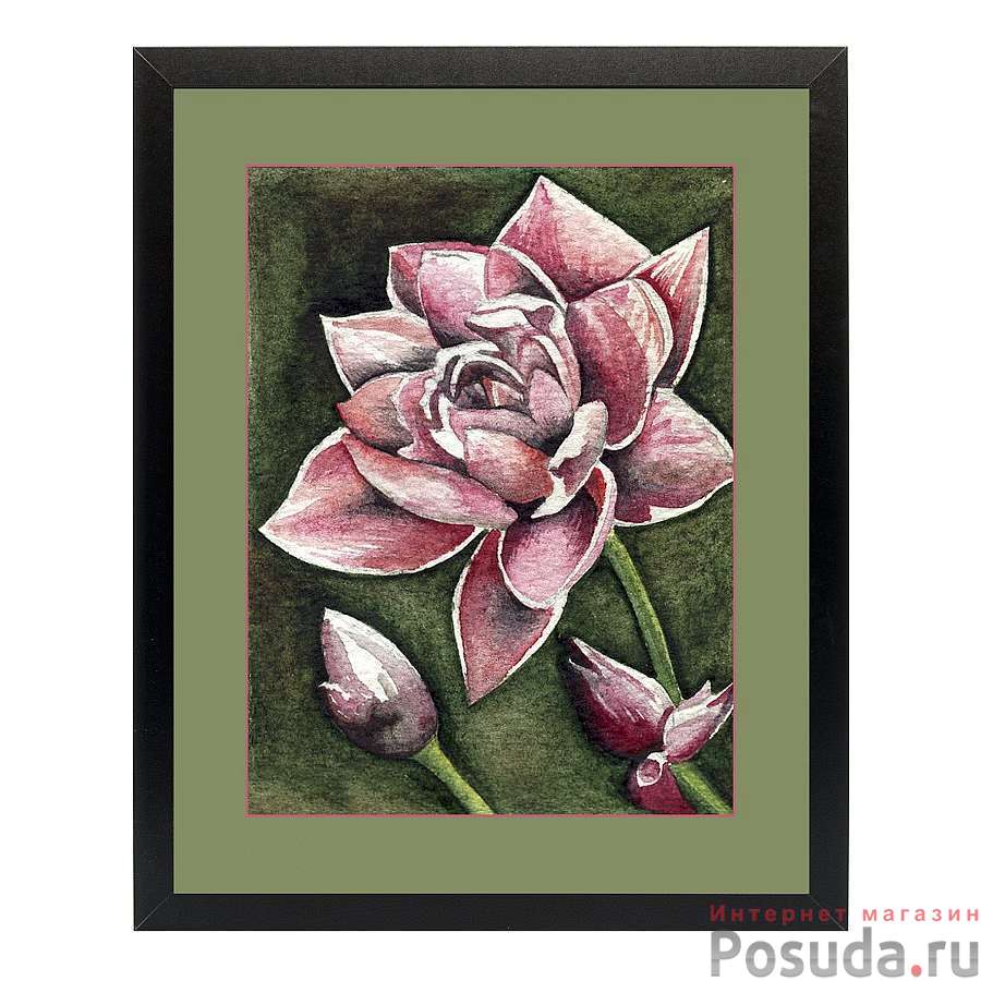 Картина "лилия акварель" 40х50 см (матовая бумага)