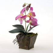 Орхидеи в горшке 28 см