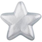 Блюдо Star silver shiny 22см