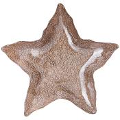 Блюдо Starfish sand 34см