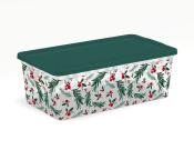 ЗИМНЯЯ БРУСНИКА КОРОБКА 5,5л