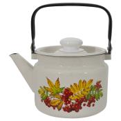 Чайник эмал 2,0л Рябина, 27104П2