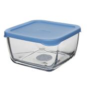 Контейнер SNOW BOX с голубой пл. крышкой 760 мл