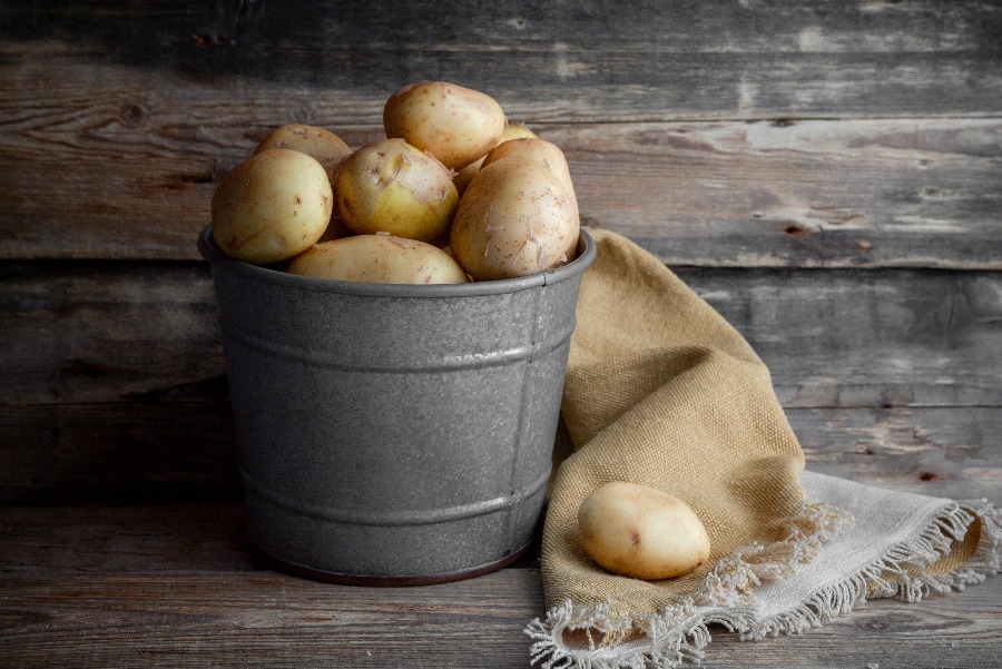 Что нужно знать для хранения картошки в квартире: картошка в ведре