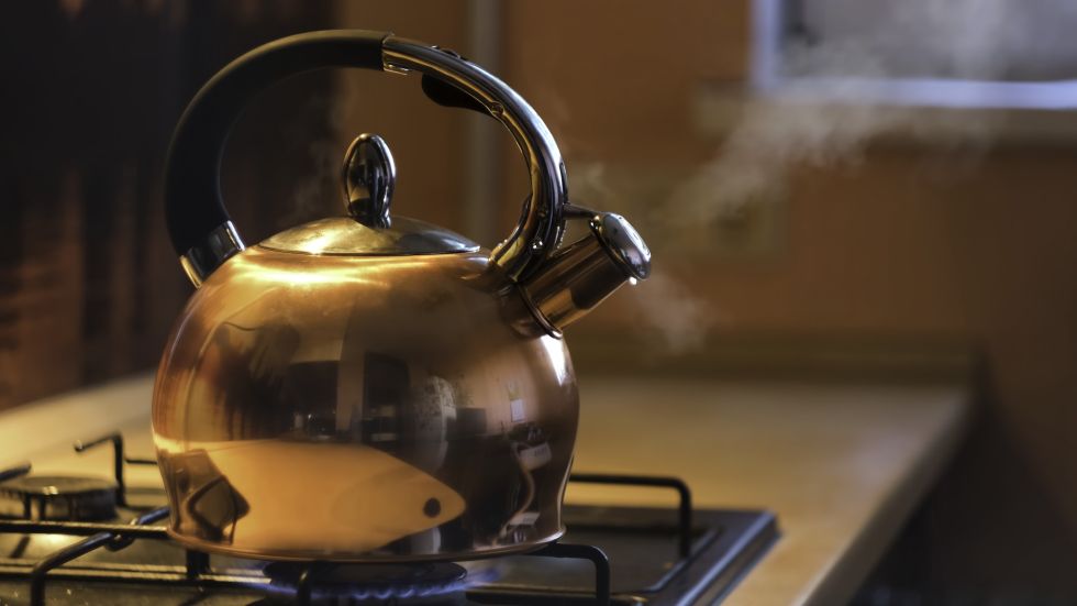 Чайники со свистком: другие факторы