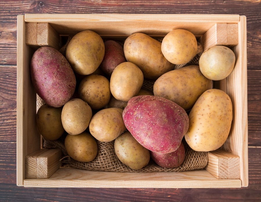 Что нужно знать для хранения картошки в квартире: подходящая тара