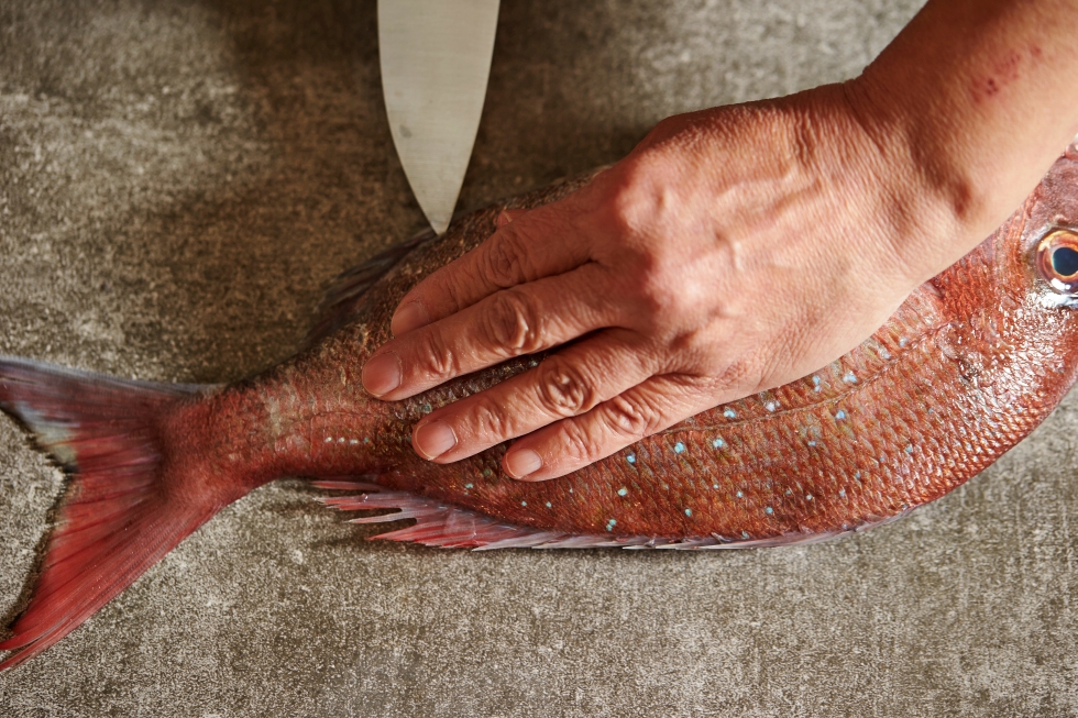 Чистка и резка красной рыбы ножом: техника