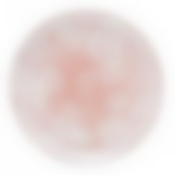 Тарелка обеденная ОЛЬНА 26 см Luminarc