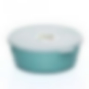 Миска ПРОВАНС 2,5 л с крышкой (аквамарин)