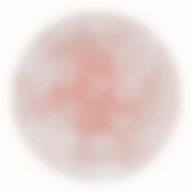 Тарелка десертная ОЛЬНА 20,5см