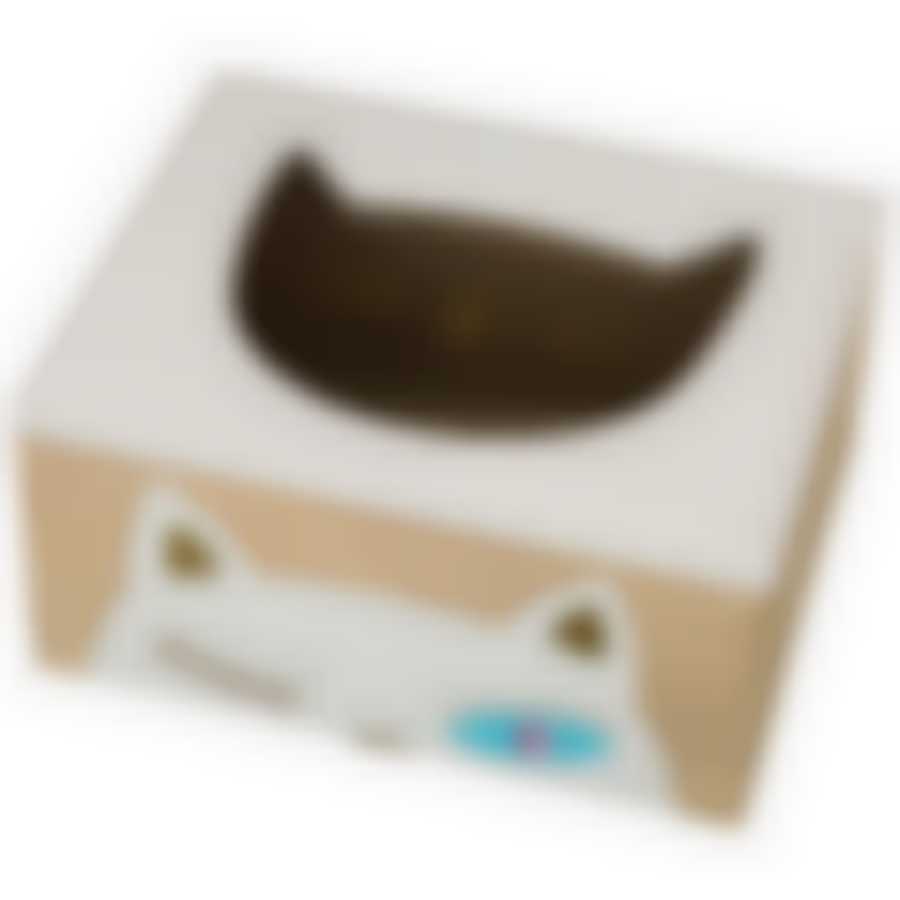 Шкатулка коллекция "КОШКИ" 20*16*9,5 см