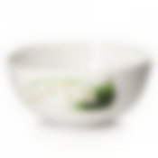 Салатник уайт орхид 21см