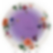 Тарелка столовая мелкая Luminarc Maritsa Purple, D=26 см