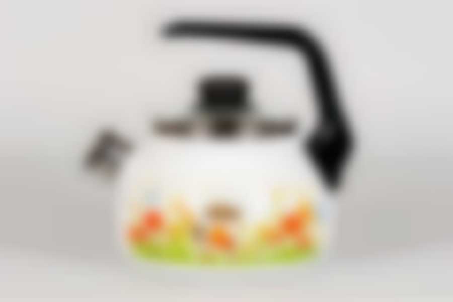 Чайник 3,0л со свистком Голландский