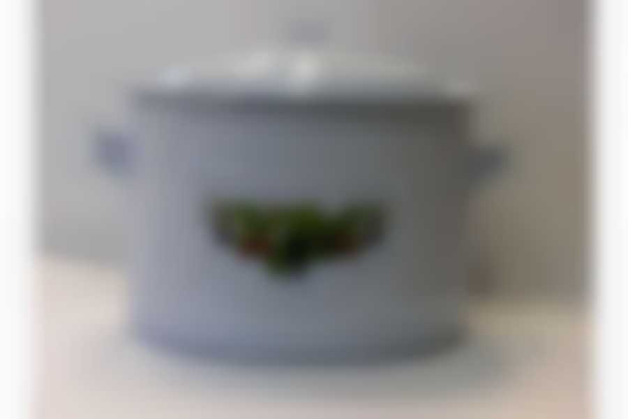 Бак 25л (рисунок в ассортименте)