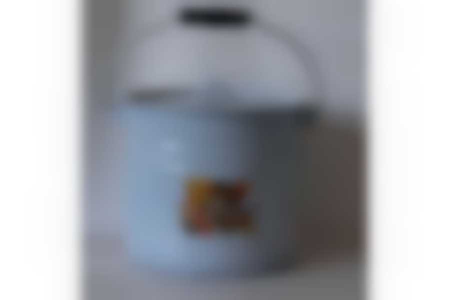 Ведро 9л с крышкой с рисунком (рисунок в ассортименте)