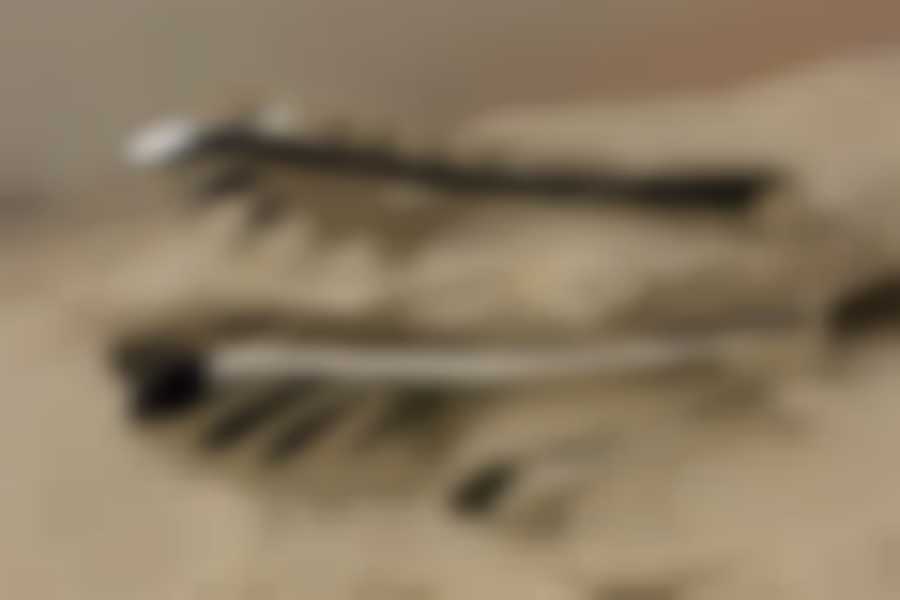 Щипцы нерж. д/спагетти