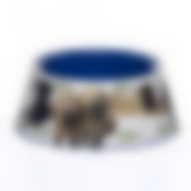 Миска Dogs 0,7 л (цвет в ассортименте)