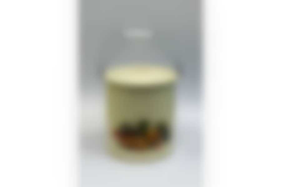 Ведро 12л с крышкой с рисунком