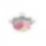 Кастрюля эмалированная Interos Пион, 5,1 л