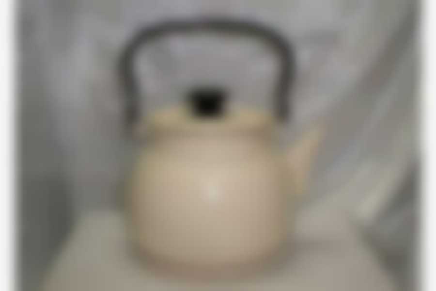 Чайник 3,0л сферический без рисунка 42104-122