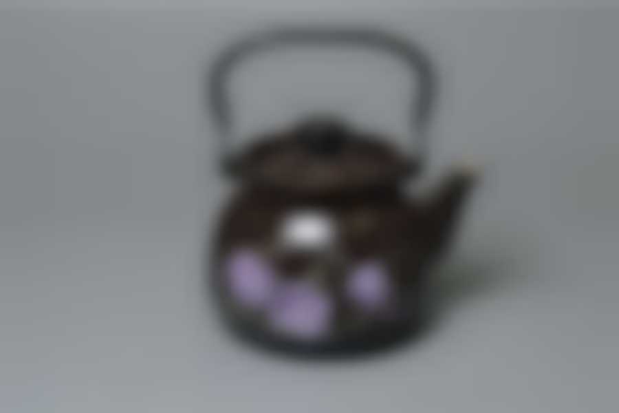 Чайник 3,0л сферический с рисунком