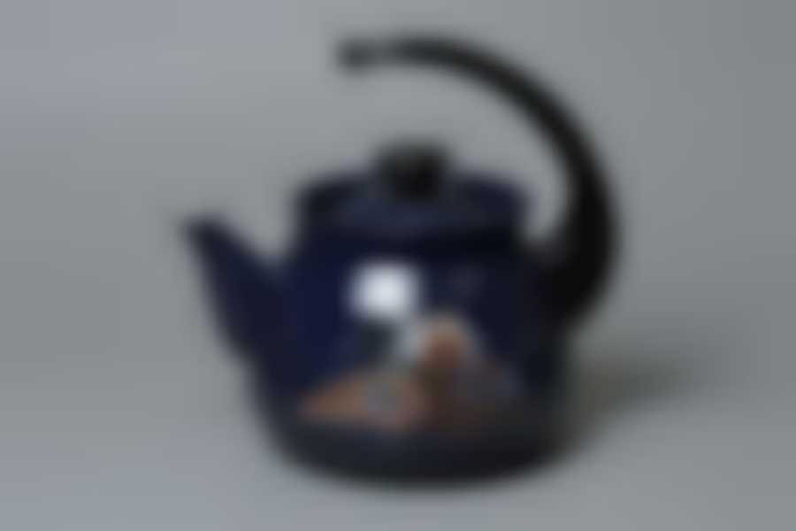 Чайник 3,0л сферический с рисунком