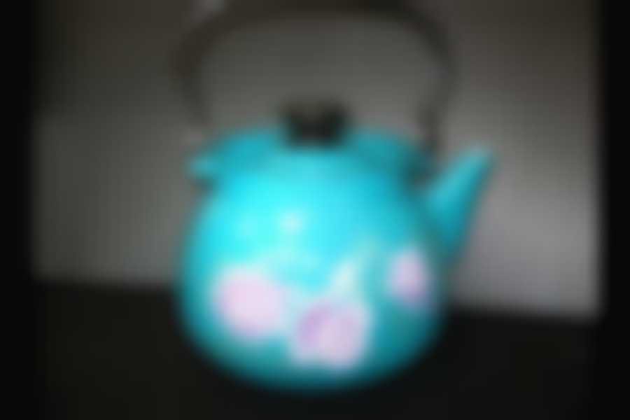 Чайник 3,5л сферический с рисунком