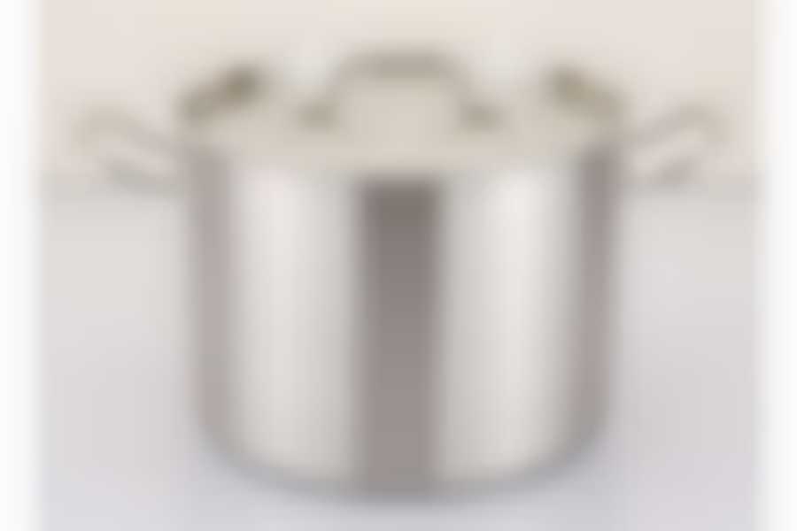 Кастрюля нерж.5,0л Professional (SH12502)