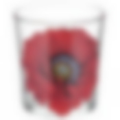 Стакан ОДА АЛЫЙ МАК 250 мл низкий