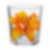 Стакан ОДА ЛИЛИЯ 250мл низкий