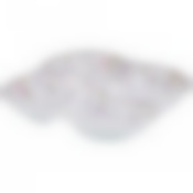 Менажница 4-х секционная "КИПРЕЙ" 20*20*3 см.