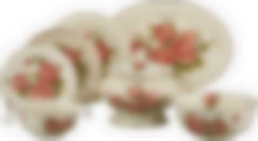 Столовый сервиз на 6 персон 22 пр. "КОРЕЙСКАЯ РОЗА"