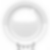 Тарелка мелкая ф.Принц диам.265 мм