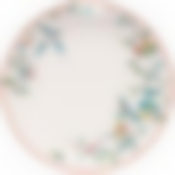 Тарелка обеденная TROPICAL PARADISE 24см