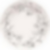 Тарелка суповая PEONIA 21см