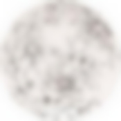 Тарелка десертная PEONIA 20см