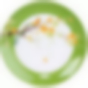 Тарелка обеденная PARADISE BIRD 24.5см