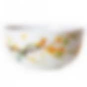 Салатник PARADISE BIRD 14см