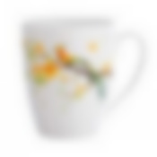 Кружка PARADISE BIRD 360мл