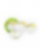 Столовый набор 19 предметов PARADISE BIRD