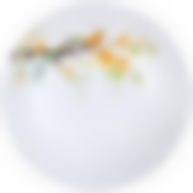 Тарелка суповая PARADISE BIRD 21см