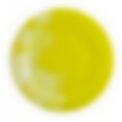 Тарелка столовая мелкая Luminarc Pium Green, D=25 см