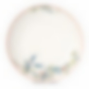 Тарелка суповая TROPICAL PARADISE 21см