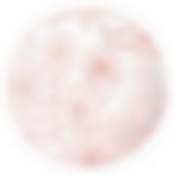 Тарелка закусочная (десертная) Luminarc Covent Garden Marvell, D=21 см