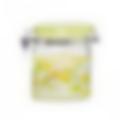 Банка стеклянная овальная с керамической крышкой paradise bird 700мл