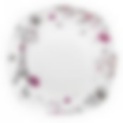 Тарелка столовая мелкая Domenik Suvenirs De Paris, D=26 см