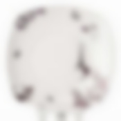 Тарелка закусочная (десертная) Domenik Suvenirs De Paris, D=19 см