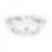 Салатник souvenirs de paris 15см