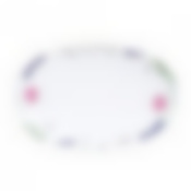 Блюдо Domenik Lavender Blade, длина 26 см